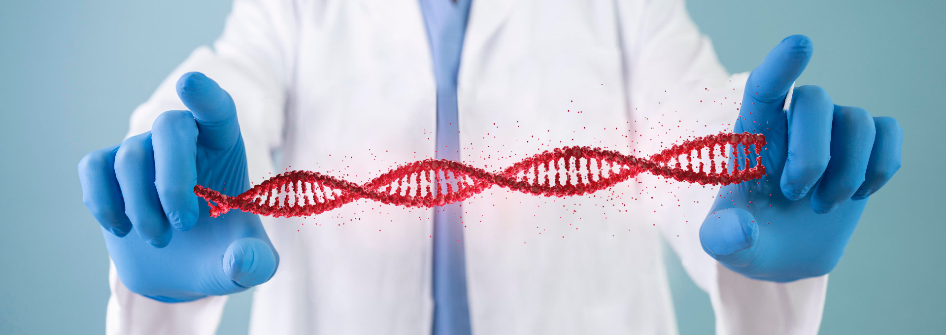 Ein Mensch, der einen DNA Strang zwischen den Händen hält