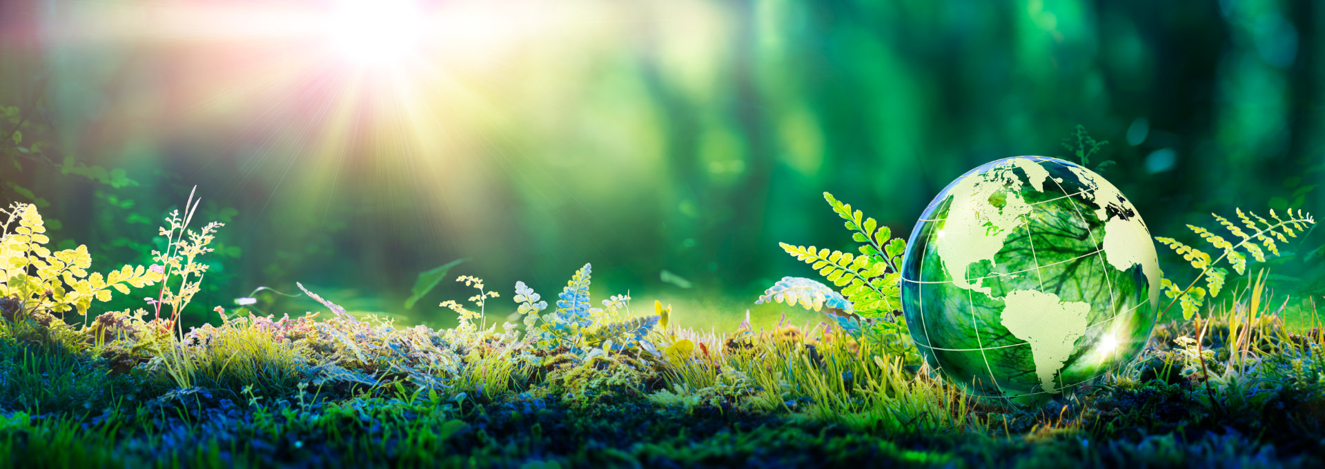 Globus aus Glas in einem grünen Wald mit Sonnenlicht