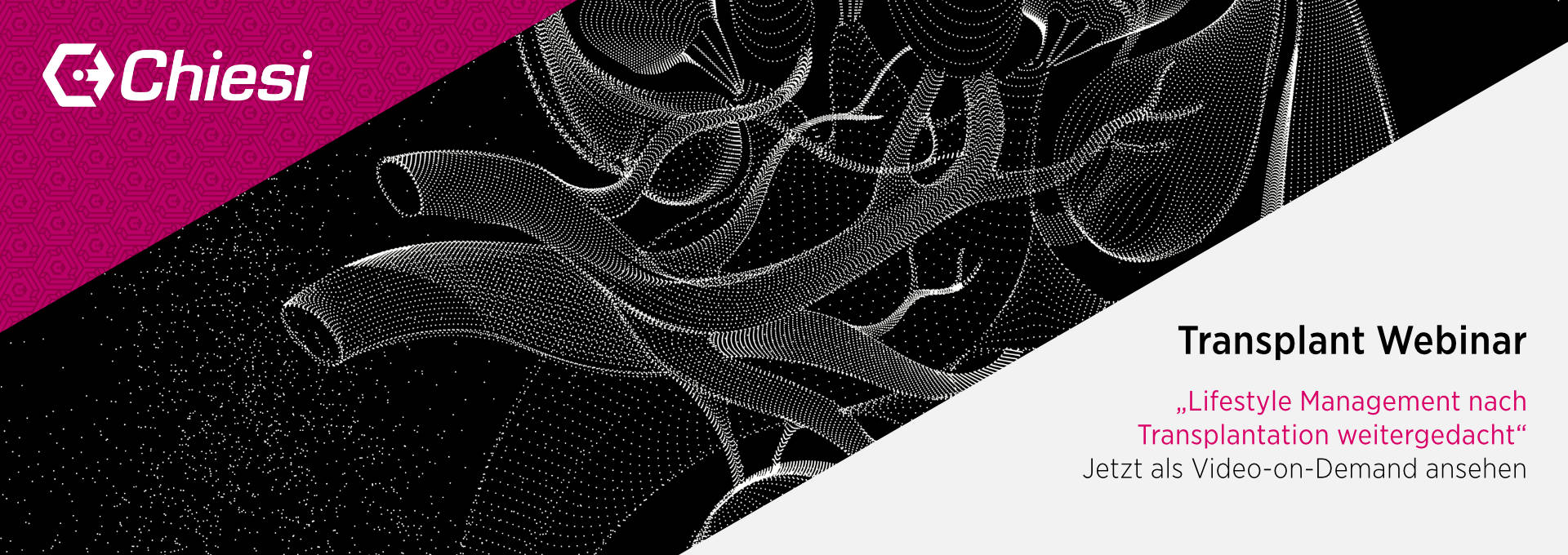 Weiße Punkte auf einem schwarzen Hintergrund, die Gewebestrukturen darstellen.