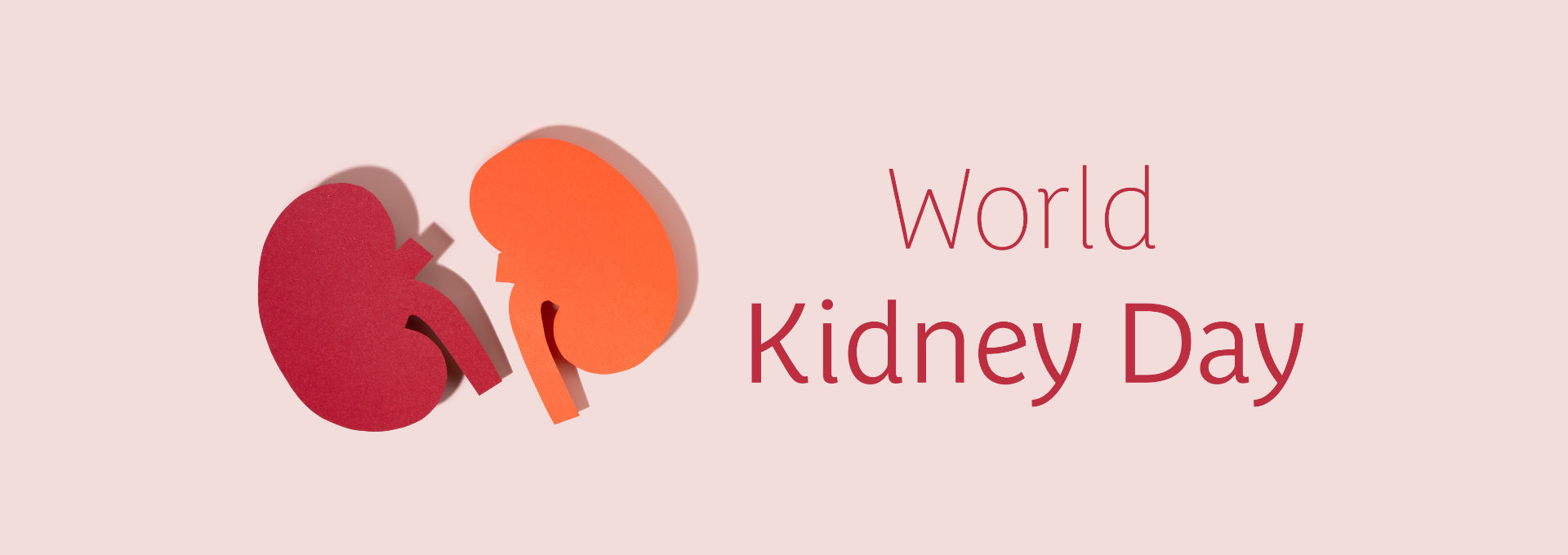 Zwei ausgeschnittene Papier-Nieren und der Schriftzug World Kidney Day