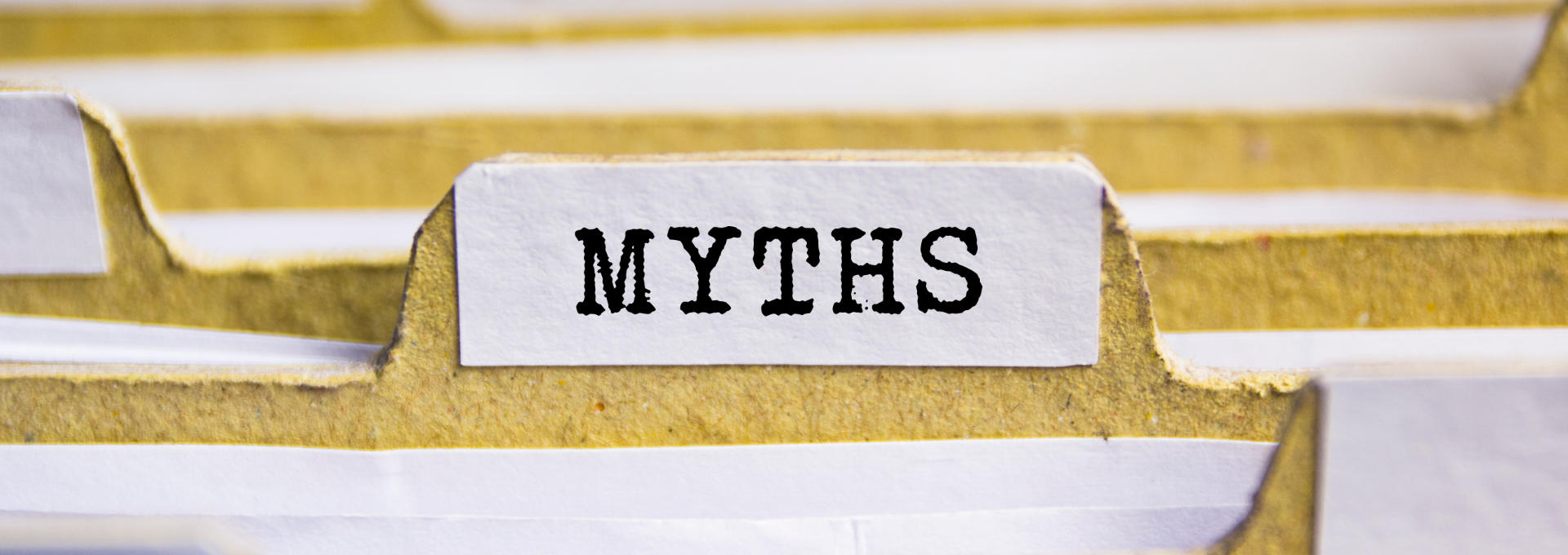 Karteireiter mit der Aufschrift "MYTHS"