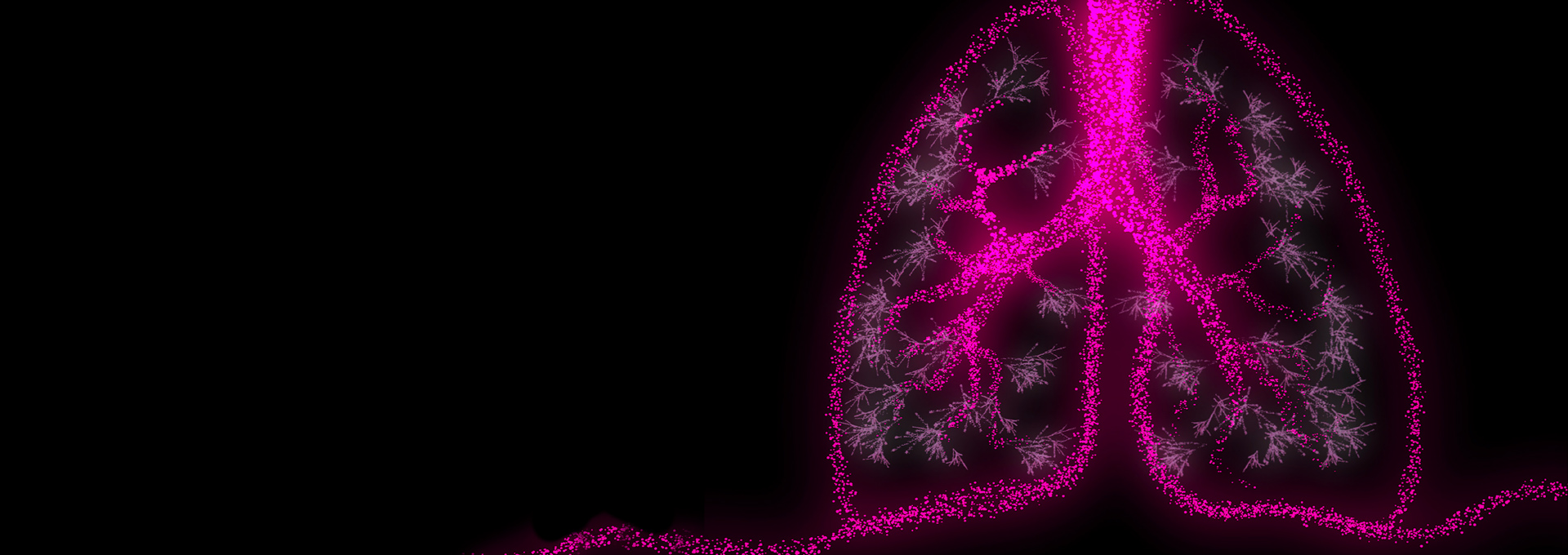 Eine abstrakte Darstellung der Lungen in leuchtendem Pink auf schwarzem Hintergrund. Die Lungenstruktur ist mit zahlreichen pinken Punkten durchzogen, die die Atemwege und Verzweigungen betonen. Die Hauptbronchien und die kleinen Verästelungen der Bronchien sind deutlich zu erkennen, wodurch ein stark verzweigtes Netzwerk sichtbar wird.