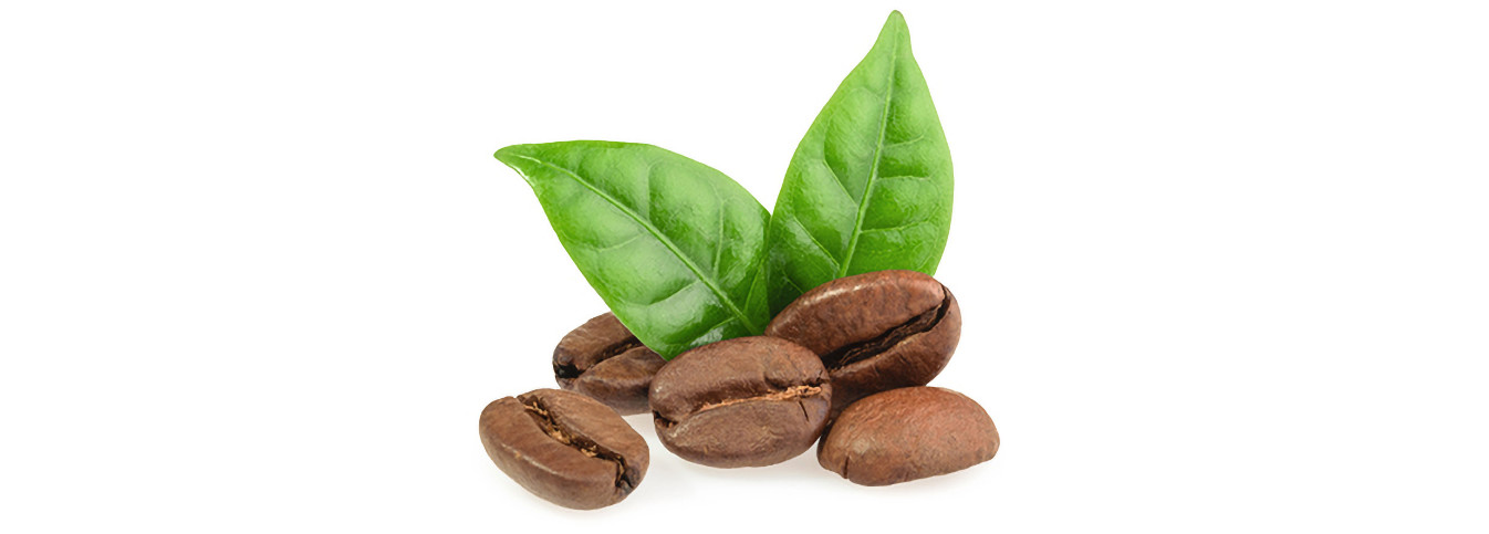 eine Gruppe von Kaffeebohnen mit Blättern