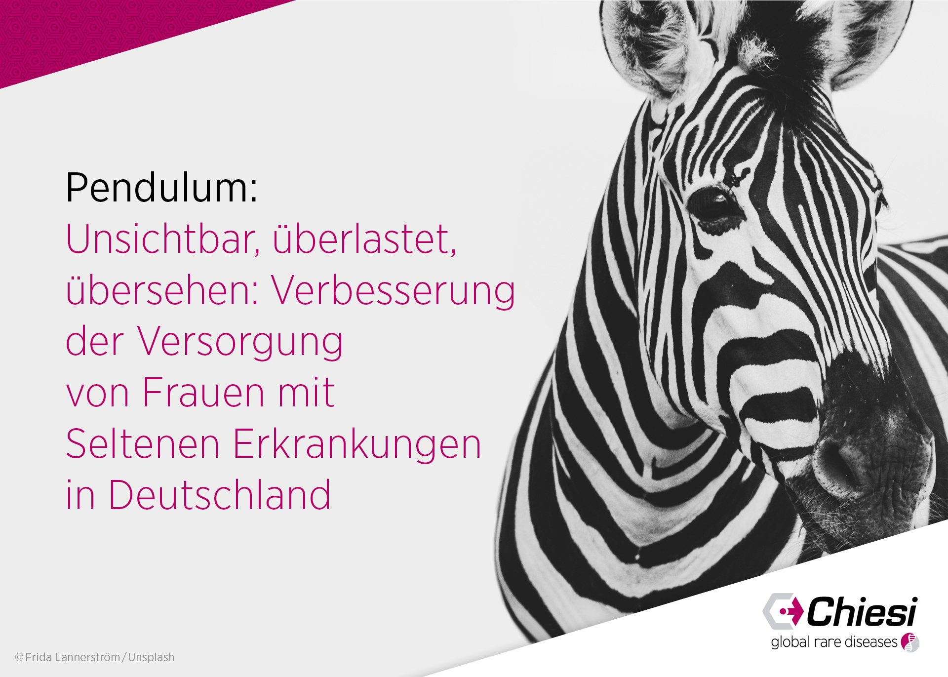 Einladung zur Veranstaltung Gesundheit von Frauen mit Seltenen Erkrankungen, symbolisiert durch ein Zebra