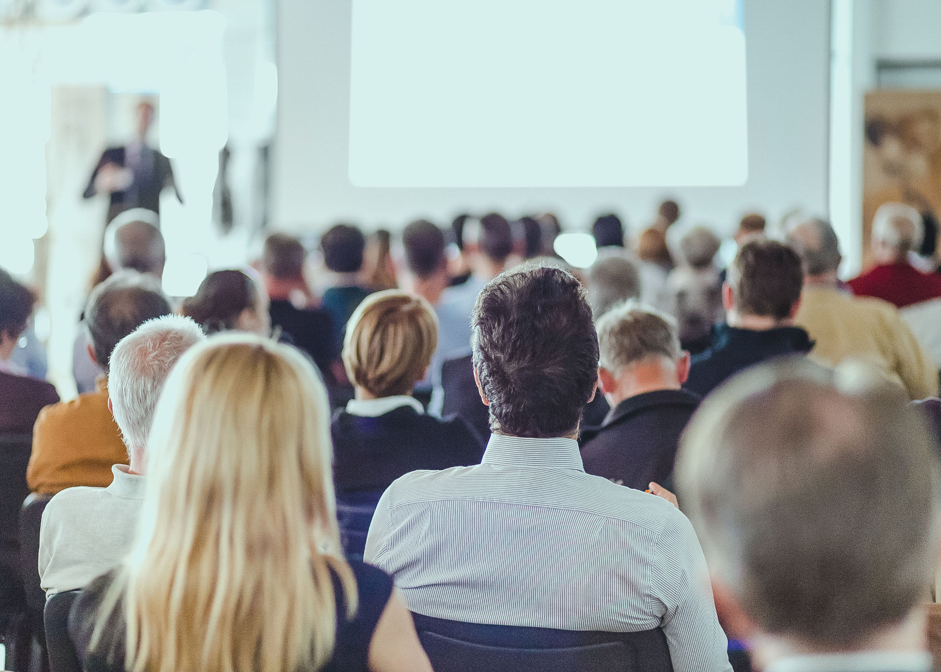 Menschen, die mit dem Rücken zum Betrachter sitzen, und einem Vortrag zuhören.